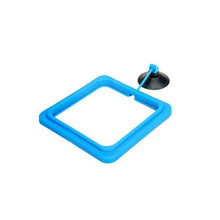 Load image into Gallery viewer, New 1pcs Fish Food Ring Aquarium Fish Tank Small Type Tropical Fish Feeder Feeding Ring Aquarium Accessories
