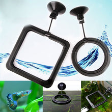 Load image into Gallery viewer, Floating fish feed feeding circle hot selling bathtub convenient feeding circle aquarium floating food tray feeder аквариум  T3
