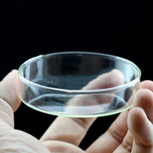 Load image into Gallery viewer, Transparent Aquarium Fish Tank Shrimp Food Feeding Circle Glass Feeder Floating Bottom Feeder Fish Shrimp Accessories
