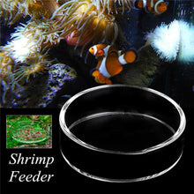 Load image into Gallery viewer, Clear Glass Shrimp Feeding Food Dish Feeder Tray Round Container Aquarium Fish Tank Feeding Bowls Feeding Tropical Fish Ratfish
