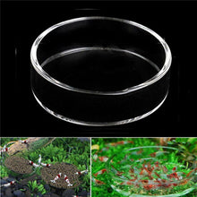 Load image into Gallery viewer, Clear Glass Shrimp Feeding Food Dish Feeder Tray Round Container Aquarium Fish Tank Feeding Bowls Feeding Tropical Fish Ratfish
